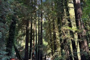 Residential Lot,  Guerneville highway, Russian River, CA 95446 - 4