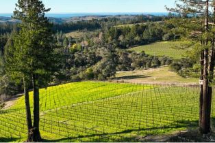 Land, 17121 Taylor Ln, Occidental, CA  Occidental, CA 95465