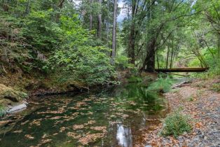 Single Family Residence,  Bohemian highway, Occidental, CA 95465 - 36