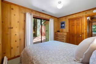 Single Family Residence,  Bohemian highway, Occidental, CA 95465 - 19