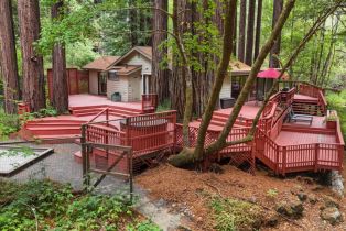 Single Family Residence,  Bohemian highway, Occidental, CA 95465 - 30