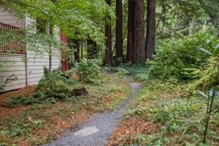 Single Family Residence,  Bohemian highway, Occidental, CA 95465 - 32