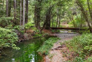 Single Family Residence,  Bohemian highway, Occidental, CA 95465 - 38