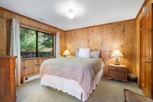 Single Family Residence,  Bohemian highway, Occidental, CA 95465 - 23