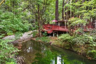 Single Family Residence,  Bohemian highway, Occidental, CA 95465 - 44