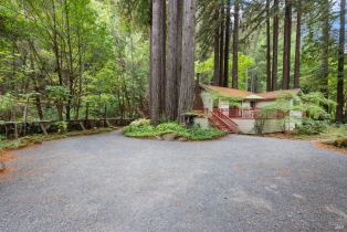 Single Family Residence,  Bohemian highway, Occidental, CA 95465 - 5