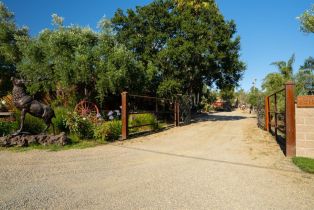 Single Family Residence,  Kelly road, Napa, CA 94558 - 13