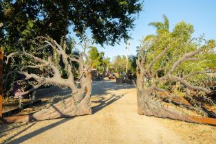 Single Family Residence,  Kelly road, Napa, CA 94558 - 44