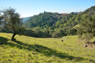 Residential Lot,  Shiloh glen, Santa Rosa, CA 95403 - 18