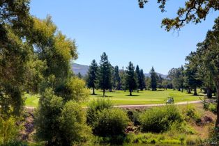 Residential Lot,  Greenbriar circle, Napa, CA 94558 - 43