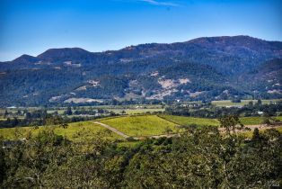 Residential Lot,  Greenbriar circle, Napa, CA 94558 - 24