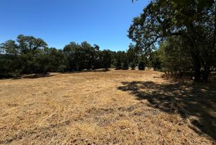 Residential Lot,  Grove street, Sonoma, CA 95476 - 7