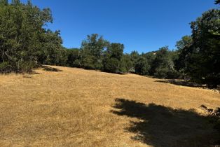 Residential Lot,  Grove street, Sonoma, CA 95476 - 9