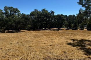 Residential Lot,  Grove street, Sonoma, CA 95476 - 6