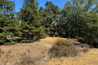 Residential Lot,  Grove street, Sonoma, CA 95476 - 8