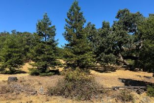 Residential Lot,  Grove street, Sonoma, CA 95476 - 11