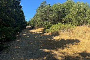 Residential Lot,  Grove street, Sonoma, CA 95476 - 10