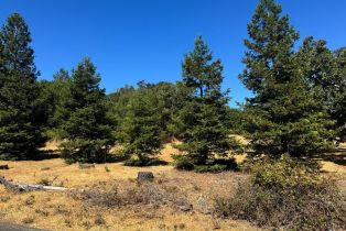 Residential Lot,  Grove street, Sonoma, CA 95476 - 2