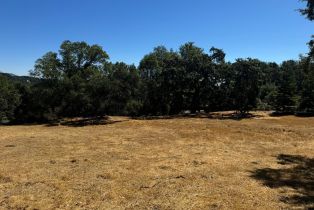 Residential Lot,  Grove street, Sonoma, CA 95476 - 5