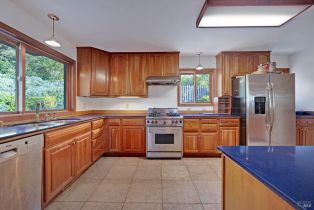 Single Family Residence,  Bay Hill road, Bodega Bay, CA 94923 - 26