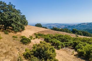 Residential Acreage,  Grove street, Sonoma, CA 95476 - 17