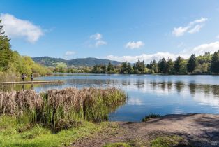 Single Family Residence,  Bardy road, Santa Rosa, CA 95404 - 70