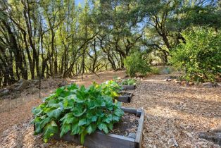 Single Family Residence,  Bardy road, Santa Rosa, CA 95404 - 60