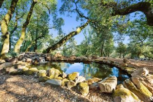 Single Family Residence,  Bardy road, Santa Rosa, CA 95404 - 50