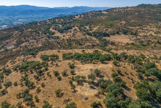 Agriculture,  Atlas Peak road, Napa, CA 94558 - 19