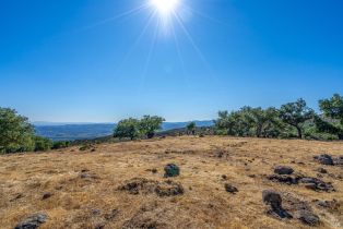 Agriculture,  Atlas Peak road, Napa, CA 94558 - 12