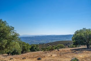 Agriculture,  Atlas Peak road, Napa, CA 94558 - 15