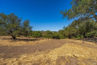 Agriculture,  Atlas Peak road, Napa, CA 94558 - 8