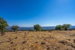 Agriculture,  Atlas Peak road, Napa, CA 94558 - 11