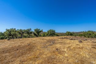 Agriculture,  Atlas Peak road, Napa, CA 94558 - 13