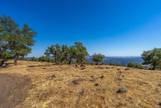 Agriculture,  Atlas Peak road, Napa, CA 94558 - 10