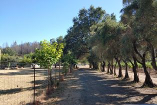 Residential Acreage,  Saint Helena highway, Calistoga, CA 94515 - 9