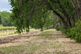 Residential Acreage,  Saint Helena highway, Calistoga, CA 94515 - 7