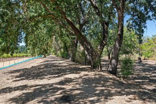 Residential Acreage,  Saint Helena highway, Calistoga, CA 94515 - 13