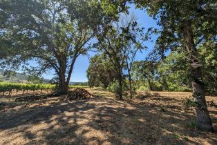 Residential Acreage,  Saint Helena highway, Calistoga, CA 94515 - 20