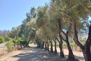 Residential Acreage,  Saint Helena highway, Calistoga, CA 94515 - 8