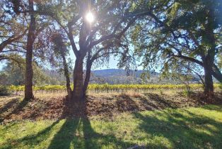 Residential Acreage,  Saint Helena highway, Calistoga, CA 94515 - 17