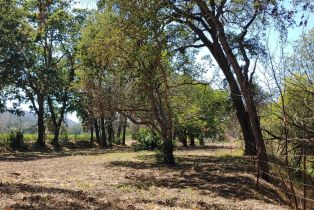 Residential Acreage,  Saint Helena highway, Calistoga, CA 94515 - 16