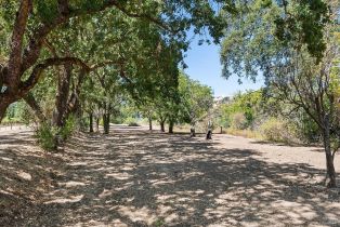 Residential Acreage,  Saint Helena highway, Calistoga, CA 94515 - 12