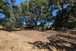 Residential Acreage,  Saint Helena highway, Calistoga, CA 94515 - 21