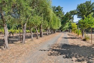 Land, Saint Helena Hwy, Calistoga, CA  Calistoga, CA 94515