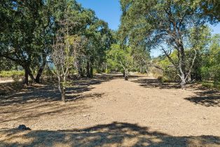 Residential Acreage,  Saint Helena highway, Calistoga, CA 94515 - 14