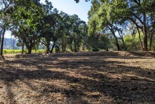 Residential Acreage,  Saint Helena highway, Calistoga, CA 94515 - 19