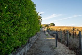 Single Family Residence,  Sonoma highway, Napa, CA 94559 - 12