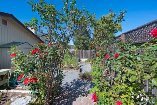 Single Family Residence,  Marigold lane, Santa Rosa, CA 95403 - 29