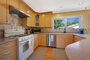 Single Family Residence,  Marigold lane, Santa Rosa, CA 95403 - 18